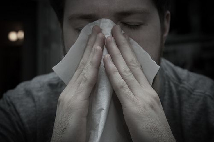 allergies are almost as bad as ebola