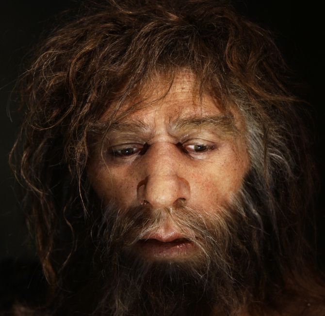 Neanderthals Didn't Mate With Humans, Research Says