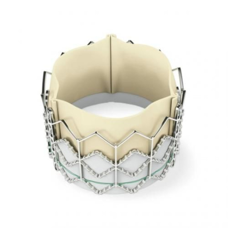 Transcatheter Heart Valve