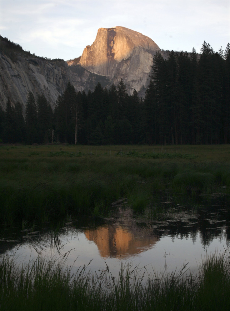Half Dome reflected in water in Yosemite National Park