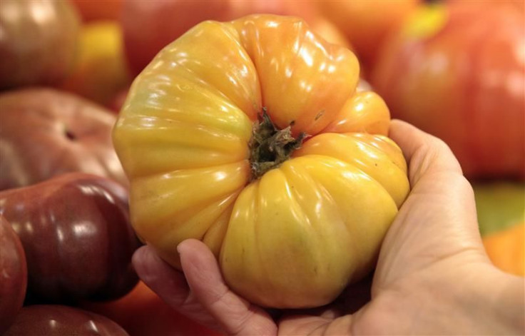 organic tomato