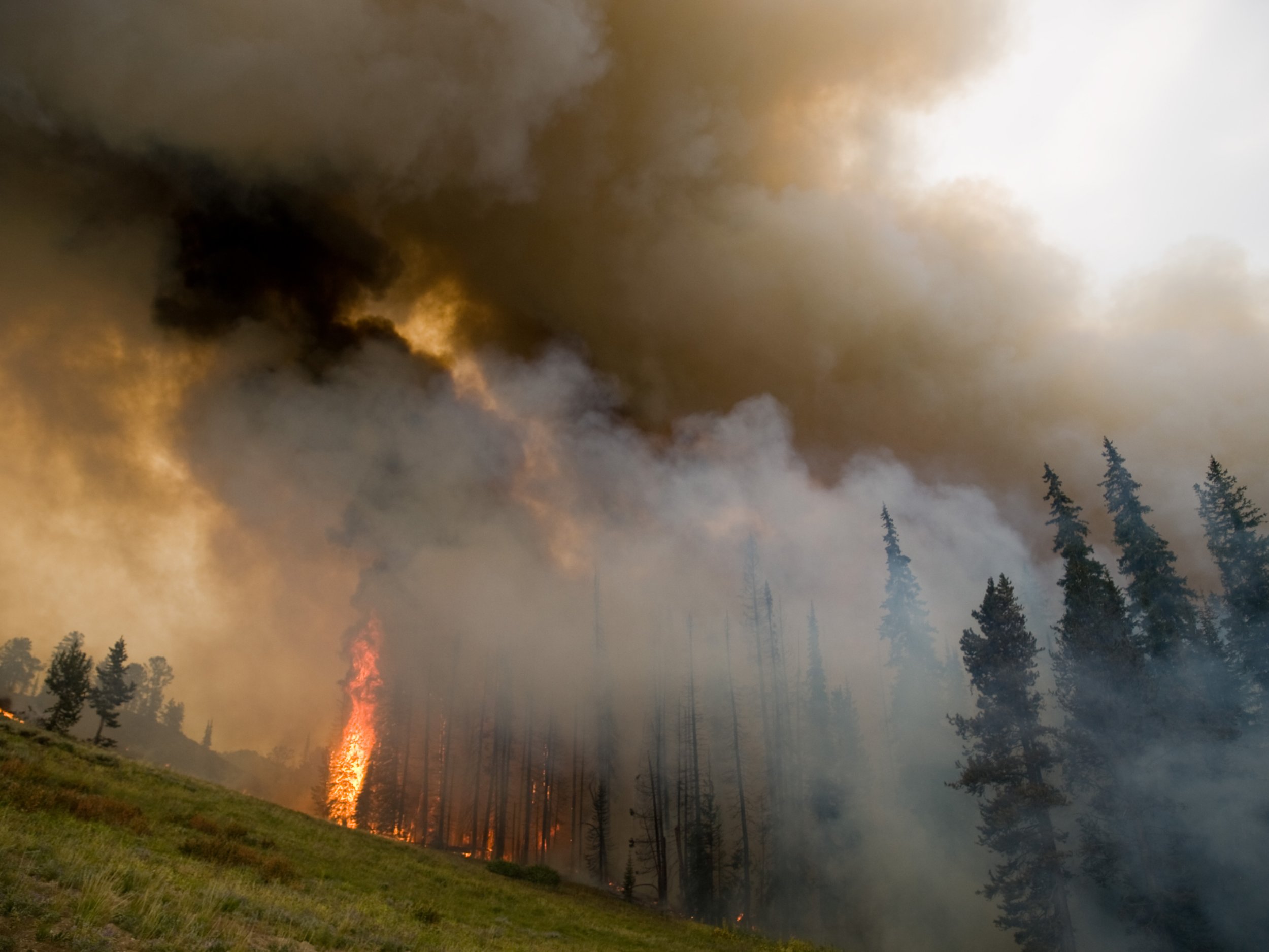 Smoke From Idaho Wildfire Poses Health Risk 9106