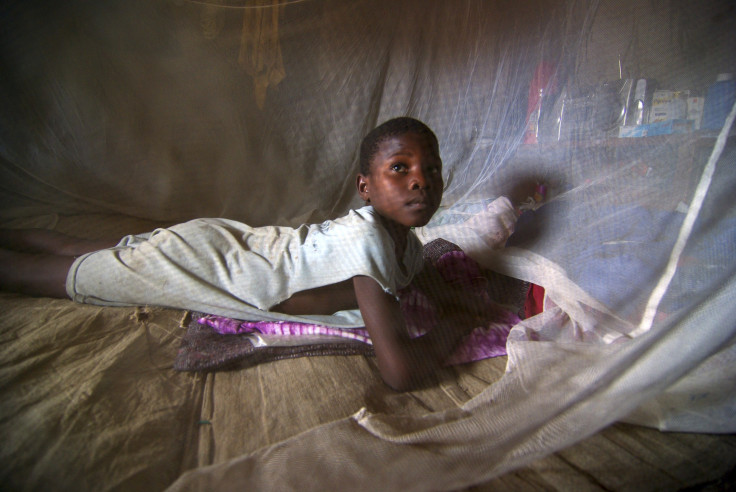 anti malaria mosquito net