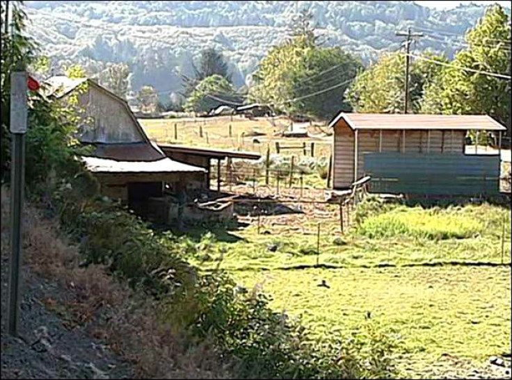 pig farm