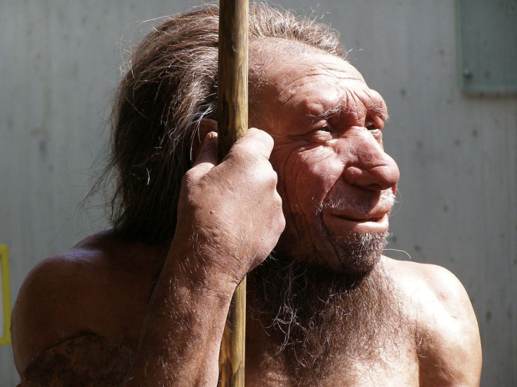 neanderthal