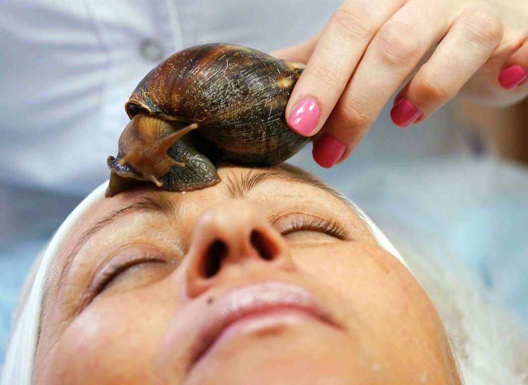 Snail Slime Touted as the Latest Miracle Beauty Product