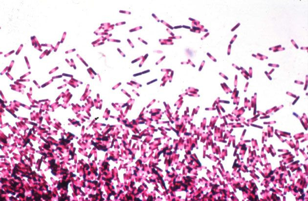 C. Diff