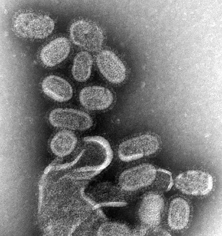 flu, influenza virus