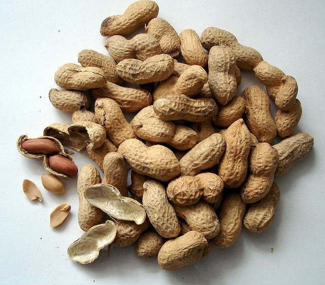 peanut