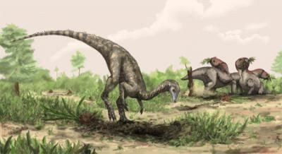 dinosaur, nyasasaurus