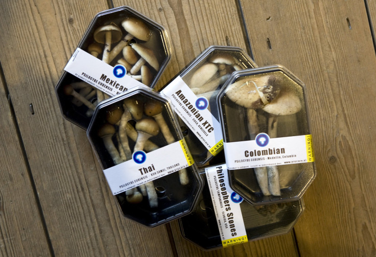 Boxes containing magic mushrooms at a coffee and smart shop in Rotterdam