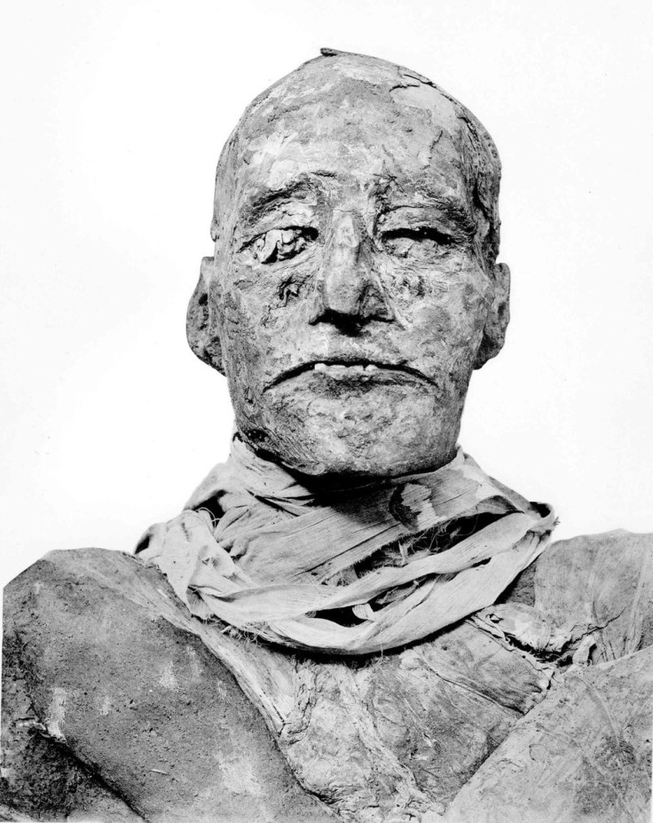 Mummy of Ramesses III