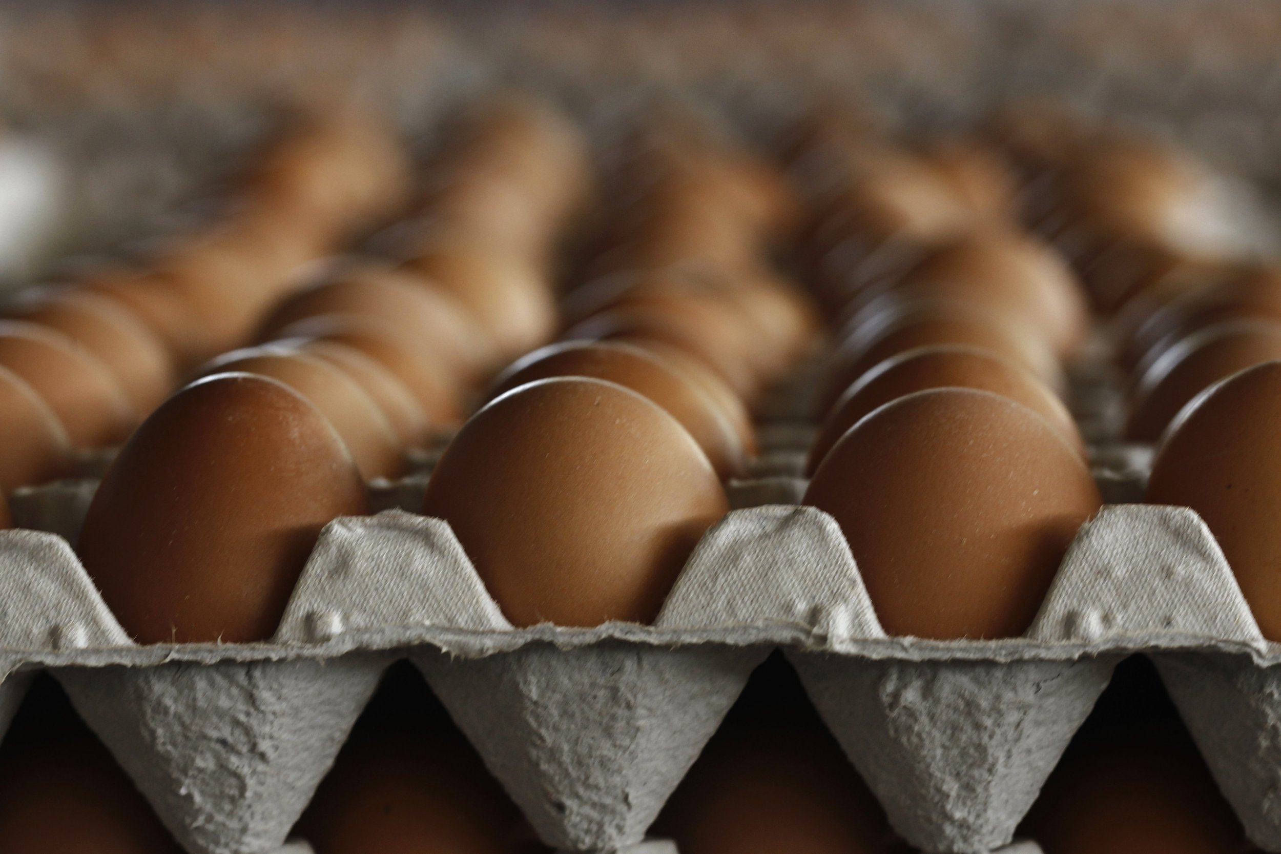 man-dies-after-eating-28-raw-eggs-for-a-bet