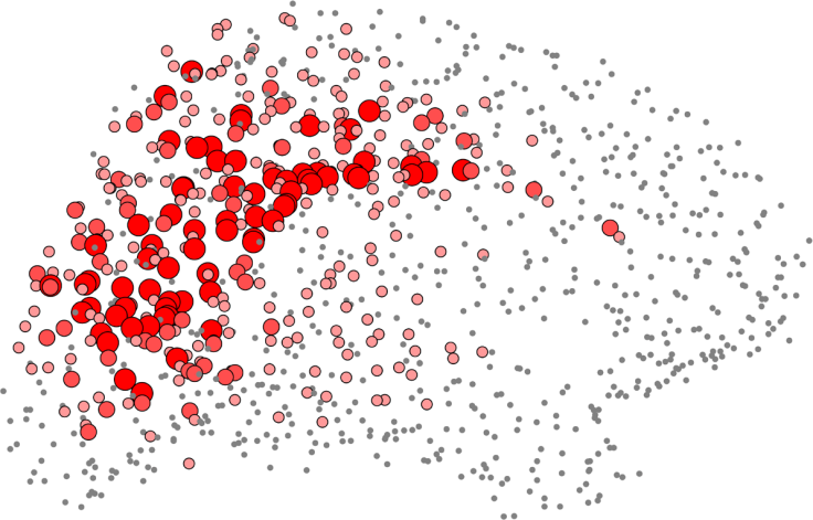 Mapping the Human Brain