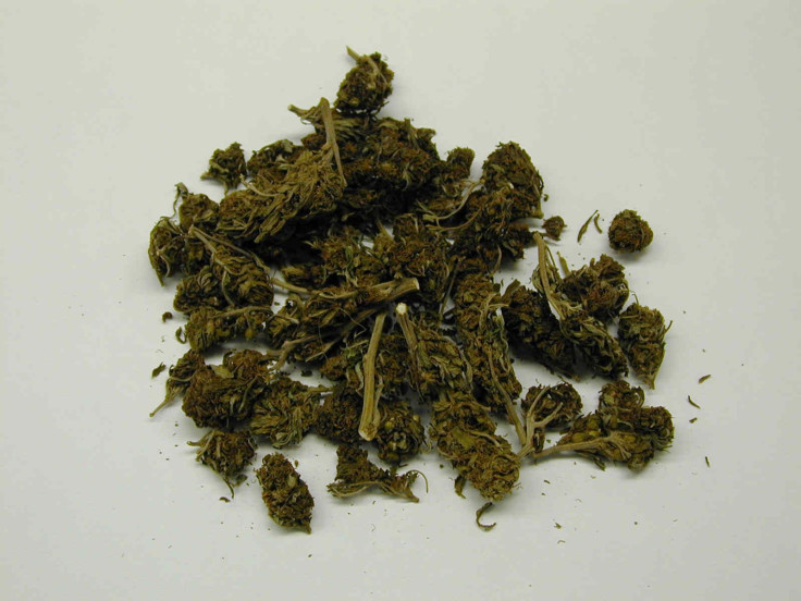 New York Joins States Considering Medical Marijuna