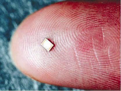Tiny Microchip