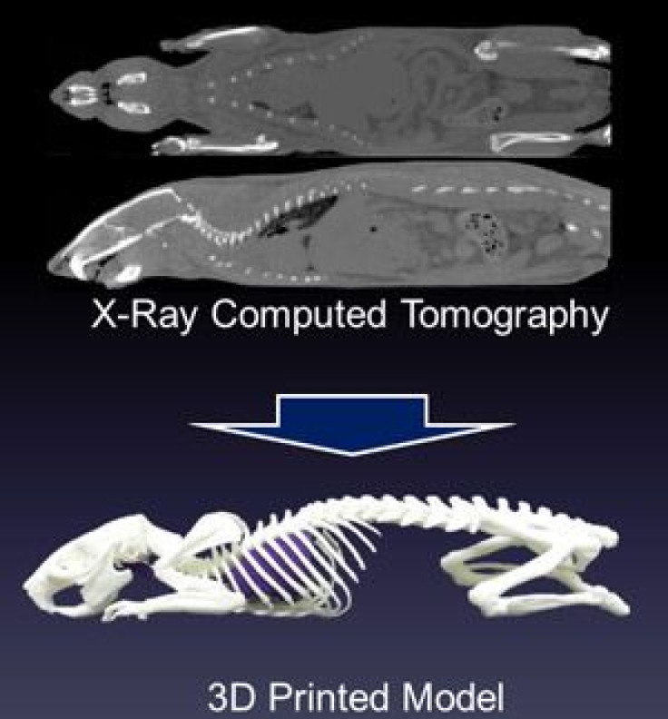 The software tools and 3D-printers needed to implement this process are becoming ever more inexpensive and easy to use.