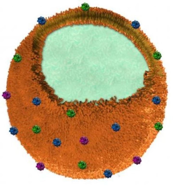 nanosponge venom, toxins