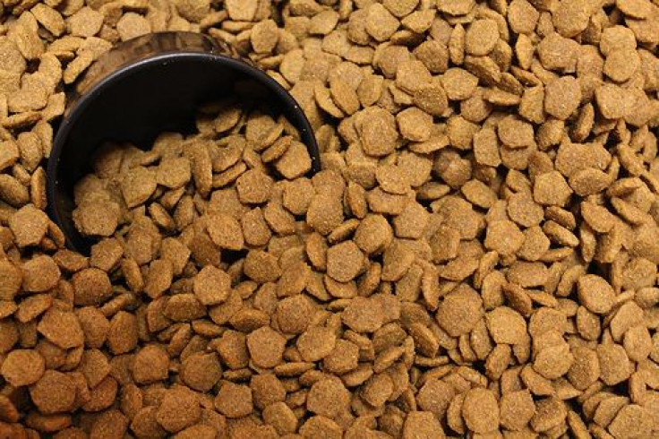 Dry Dog Food, Possibly Contaminated with Salmonella Bacteria