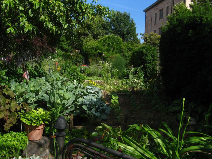 Women Who Garden Have Lower BMIs