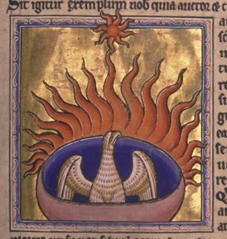 Mythological Phoenix