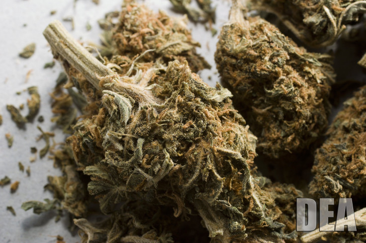 Police Ordered, Again, To Return Medical Marijuana