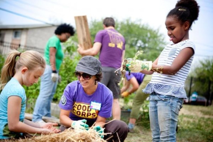 Foodcorp working with children to plant and harvest fresh produce.