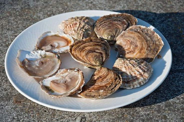 Raw Oysters