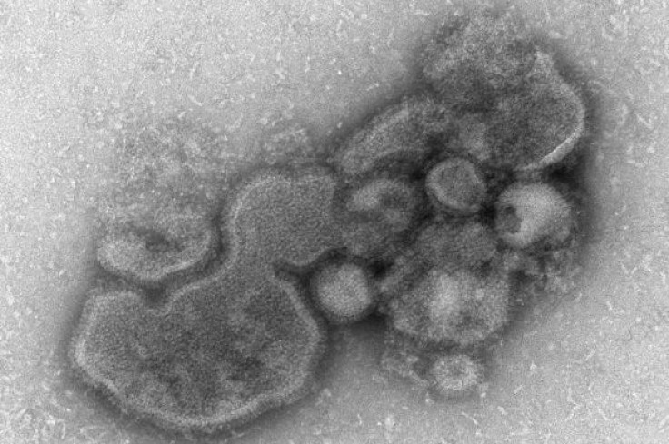 H7N9 Poses Novel Threat To Human Health