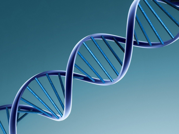 Studies Find Genetic Links to Leukemia and Endometrial Cancer