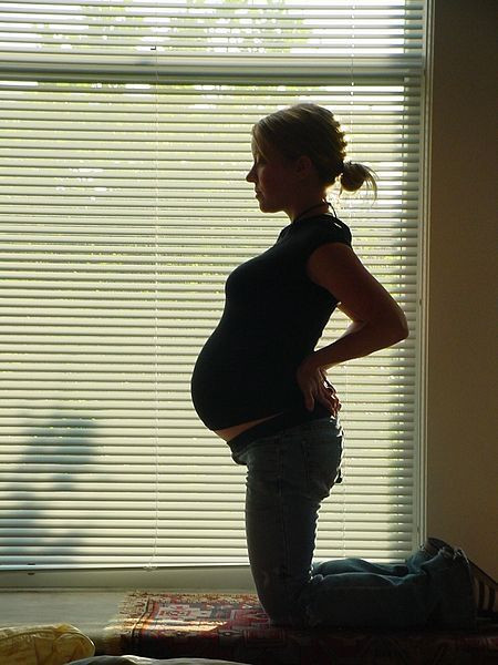Pregnant woman contemplates near a window.