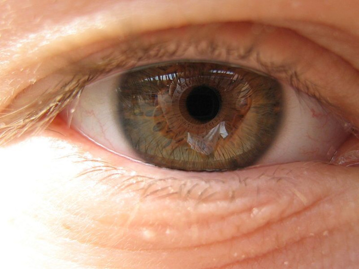 Human Eye
