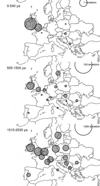 DNA Studies Show That All Europeans Share The Same Genetic Ancestor   European Genealogy 