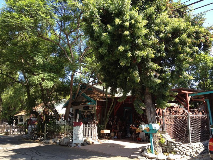 Home garden on street.