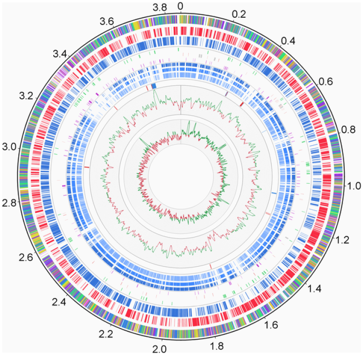 Genome Sequencing