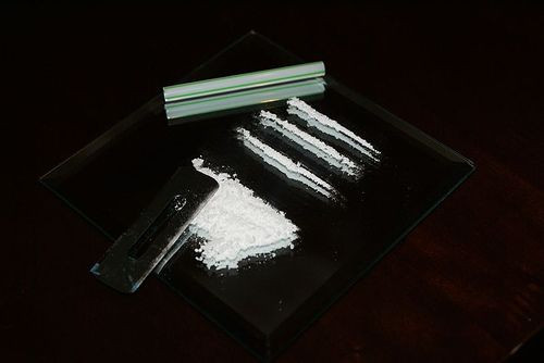 Cocaine Vaccine