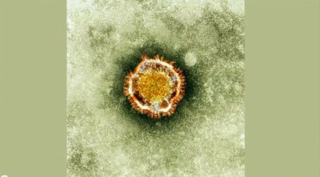 coronavirus