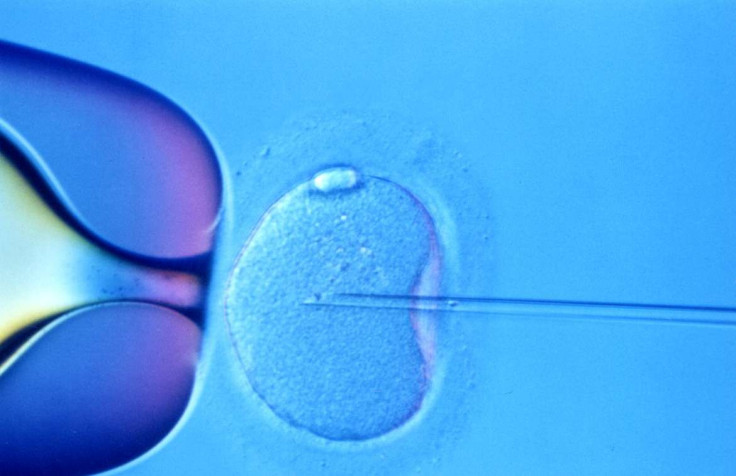 Breakthrough in IVF Could Double the Rate of Successful Births