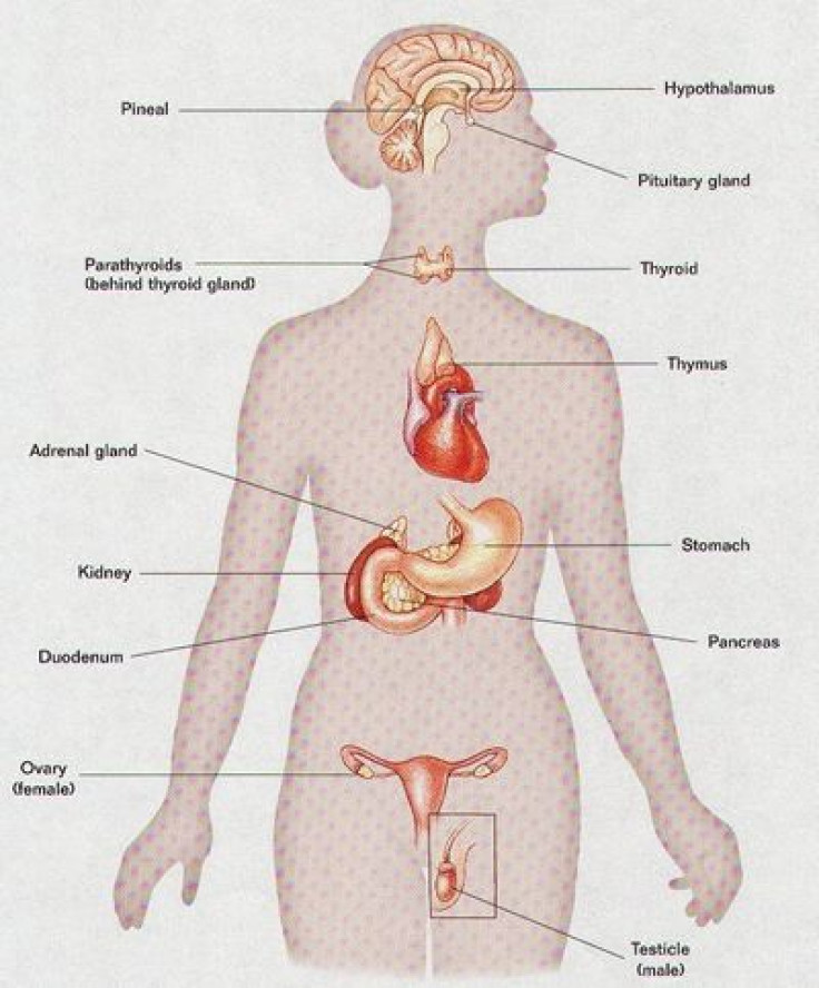 Vulnerability To Stress Linked To Menstrual Cycle, Study Claims