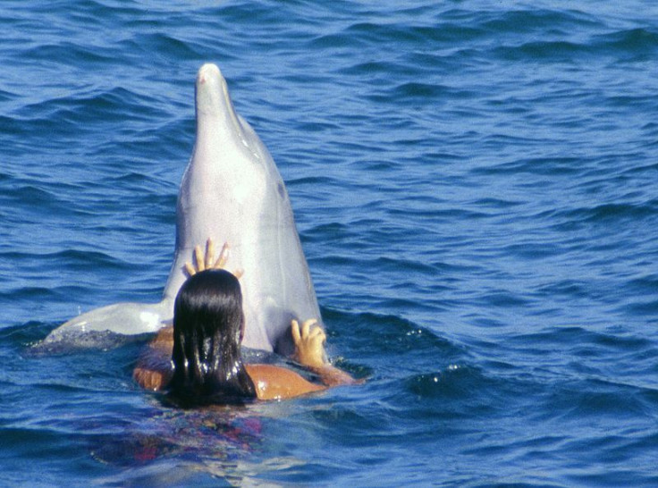 woman with dolphin