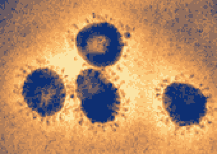 SARS-coronavirus