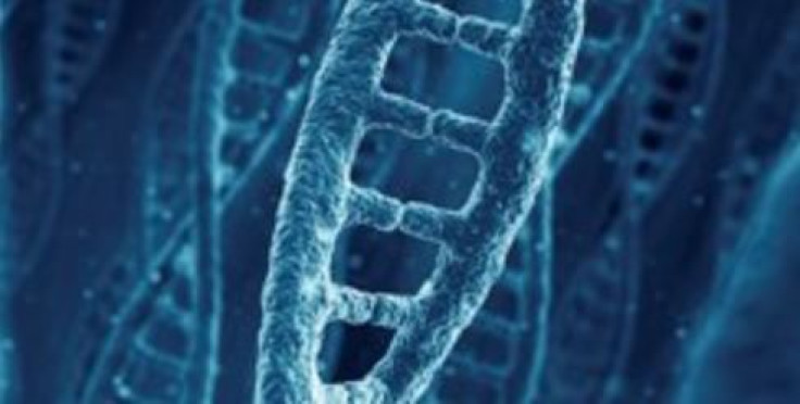 DNA Duchenne Muscular Dystrophy