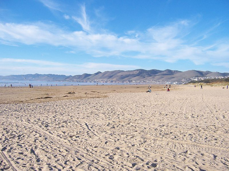 Beach on a sunny day