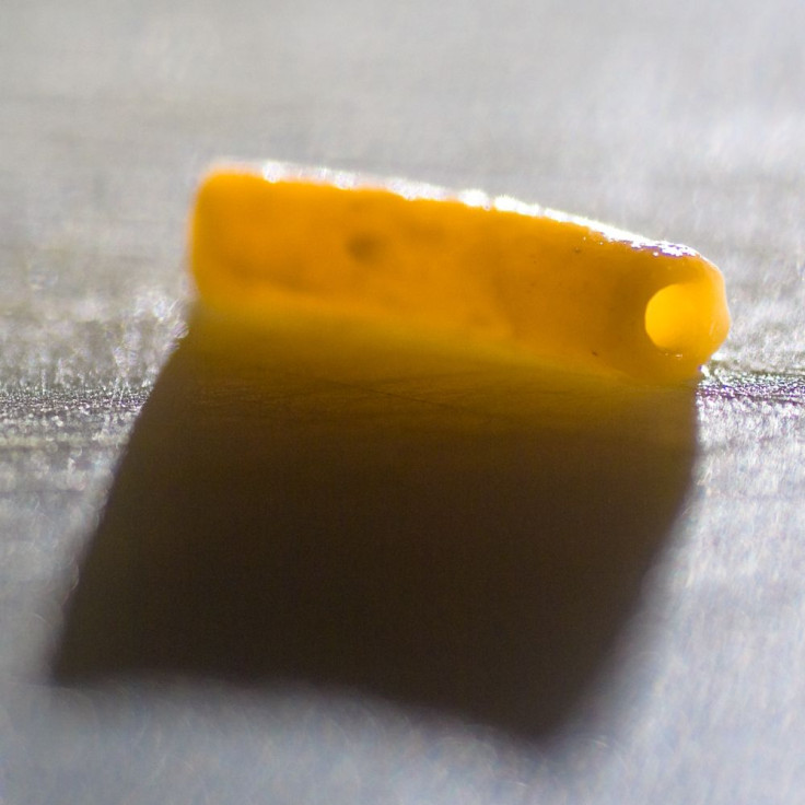 Alarming labels cause consumers to question if Kraft Mac & Cheese is a GMO product
