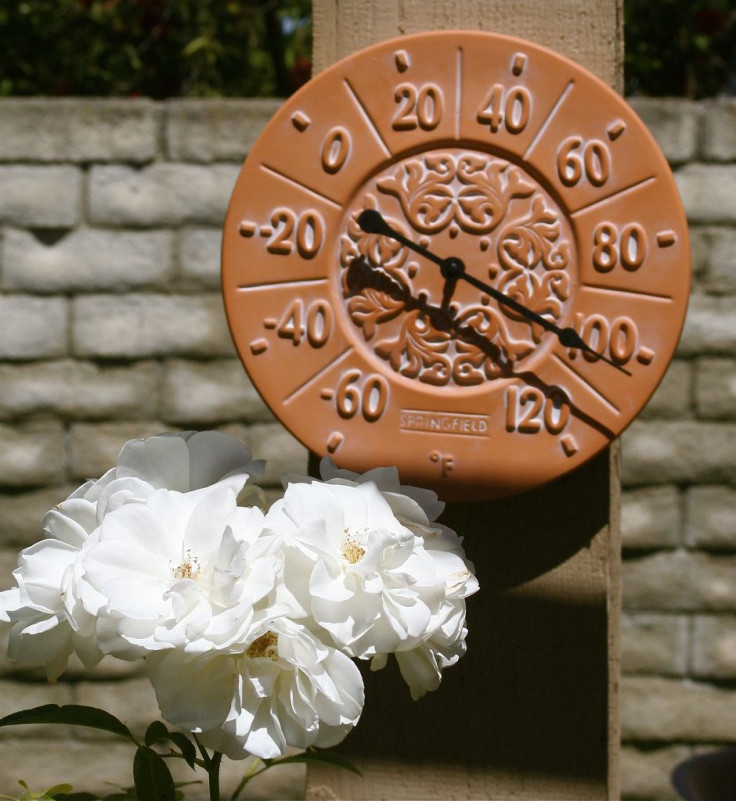 CDC Reports Close to 700 Americans Die Annually from Overheating