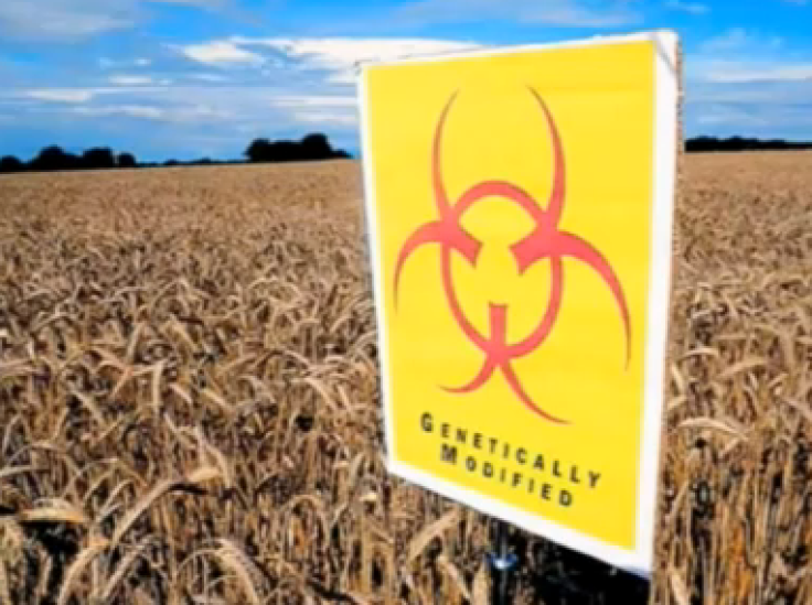 Monsanto Suspects Sabotage In Oregon Field