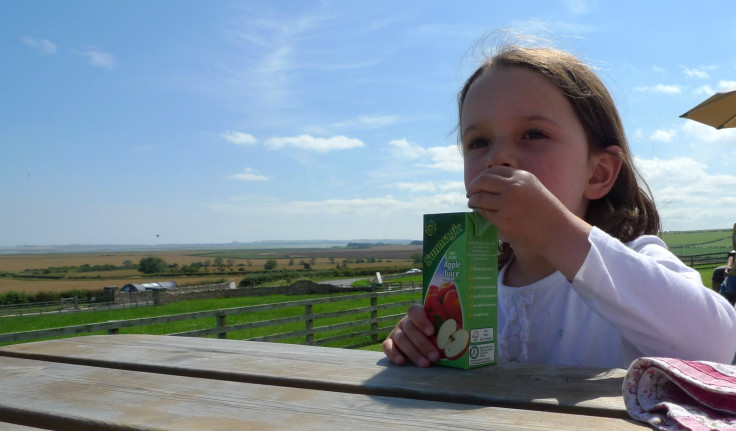 Apple Juices And Cereals High In Natural Toxins, Study Finds