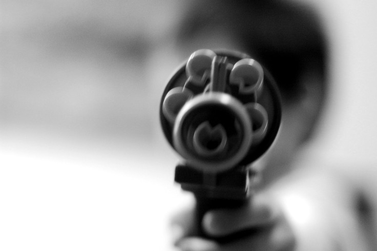 Institute Of Medicine Releases Recommendations For Gun Research