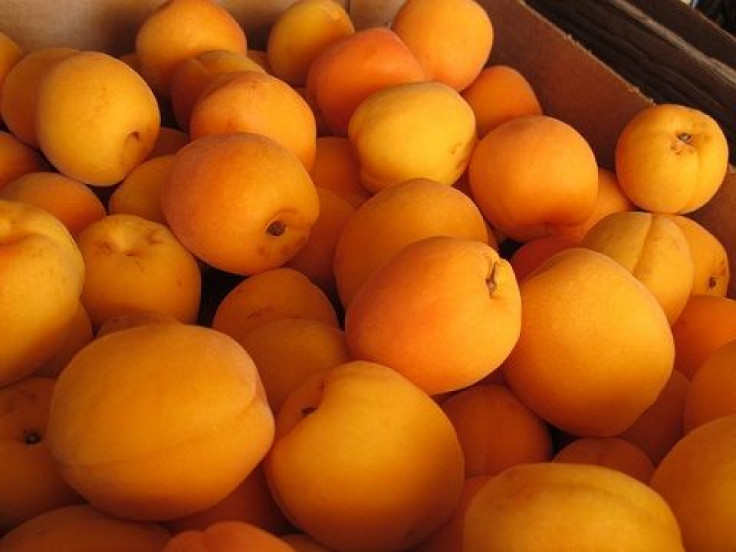 Apricot Nutrition: 3 Surprising Health Benefits of Apricots