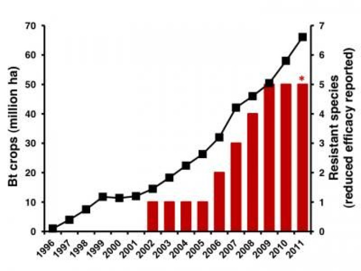 Resistance to Biotech Crops Is on the Rise